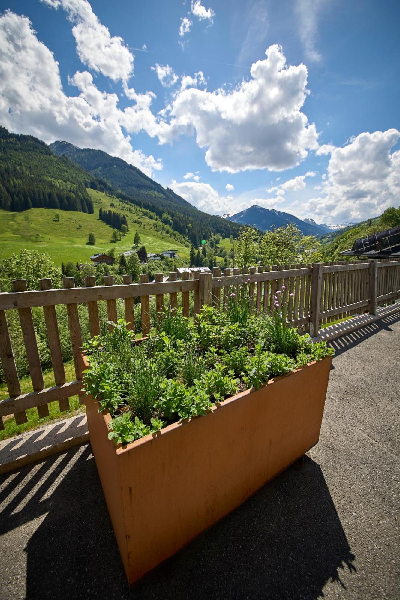 Drei Hittn Saalbach Daire Dış mekan fotoğraf